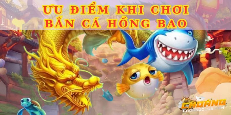 ban-ca-hong-bao-la-dia-diem-thu-hut-nhieu-cuoc-thu