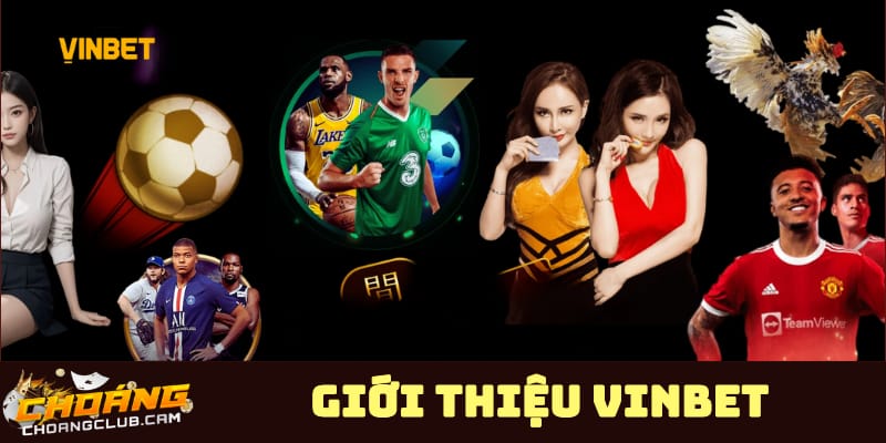 vinbet-diem-den-uy-tin-cho-cuoc-thu-truc-tuyen